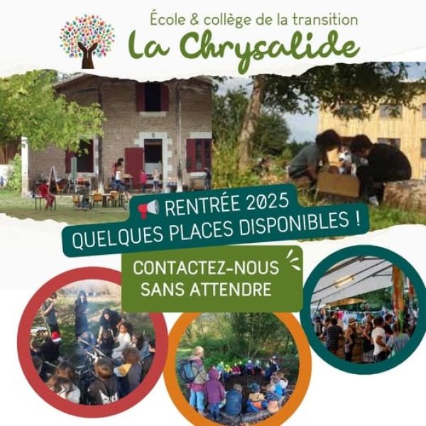 inscriptions Chrysalide