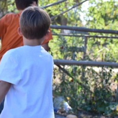 potager-Chrysalide-2-770x340